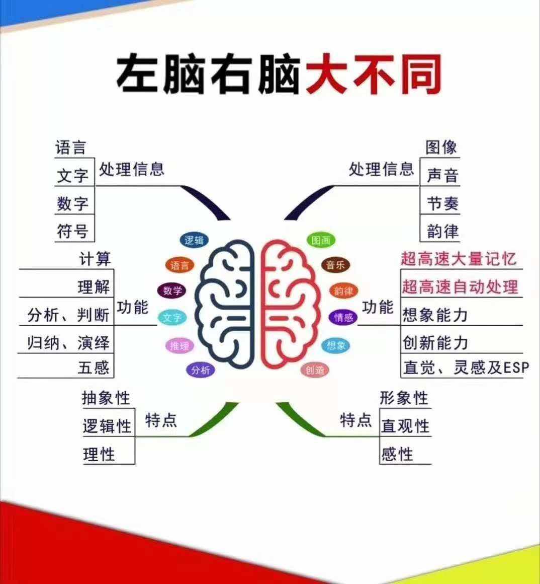 皇家迪智尼 I 你知道嗎？孩子的智商高低受到許多因素的影響！