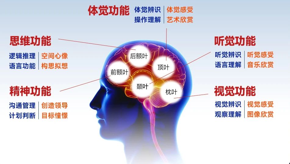 皇家迪智尼 I 指紋天賦測評適用哪些人群？