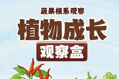 皇家迪智尼 I 兒童益智手工家庭園藝，爆款類手工種植攻略！